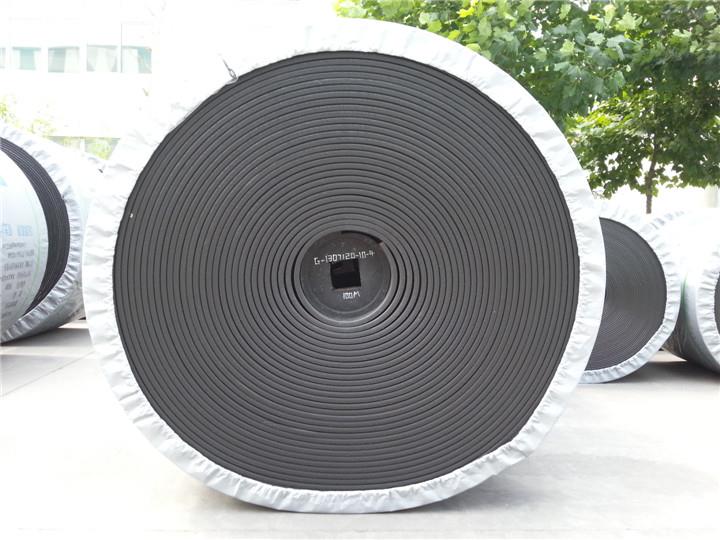 揭秘PVG阻燃輸送帶的獨(dú)特性能與阻燃原理(圖1) 揭秘PVG阻燃輸送帶的獨(dú)特性能與阻燃原理(圖1)